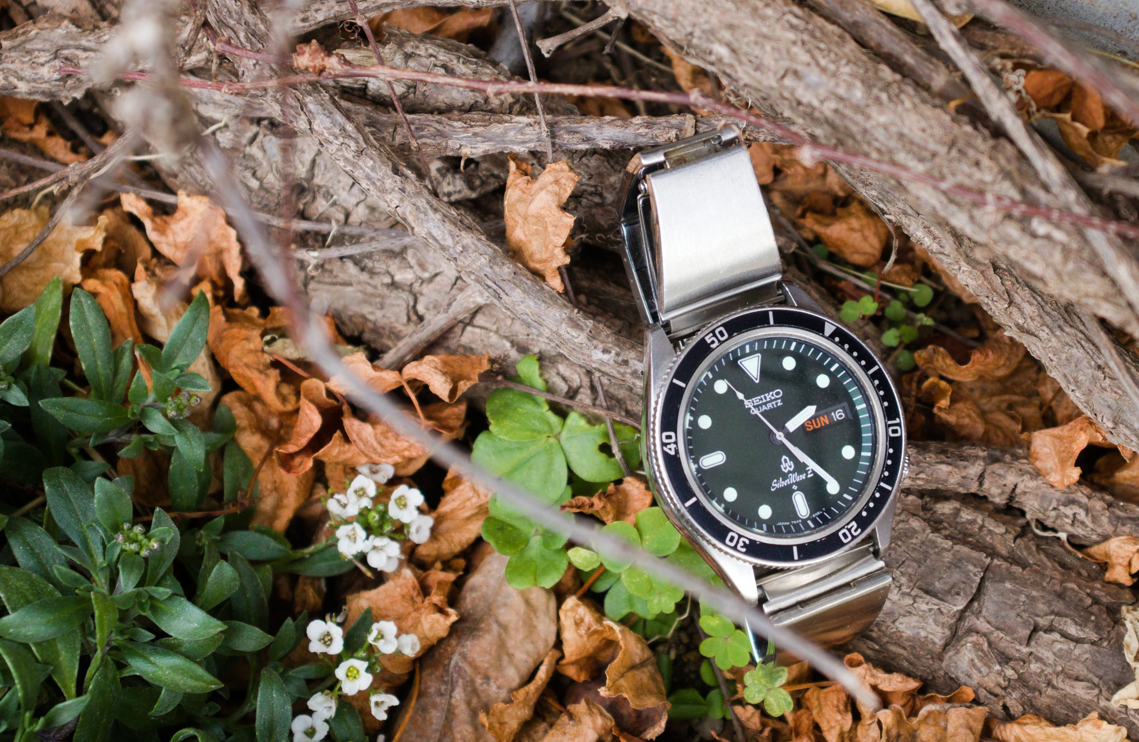 seiko silverwave z on the forest ground